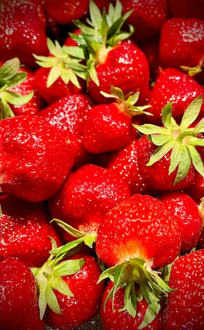 Erdbeeren